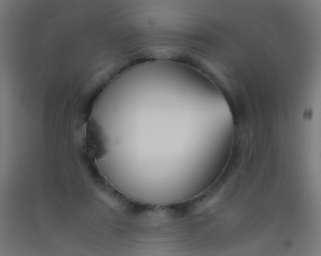X0000092310307200709281351