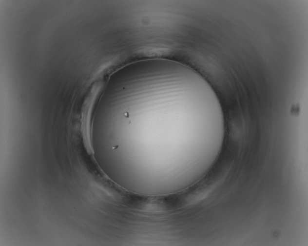 X0000092310308200709281351