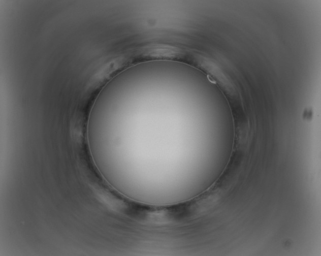 X0000092310309200709281351