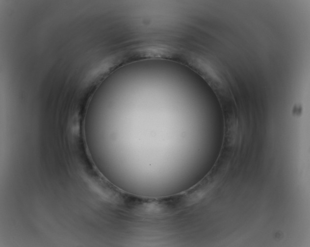 X0000092310310200709281351