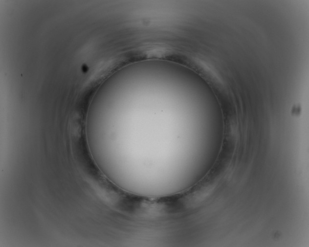 X0000092310311200709281351