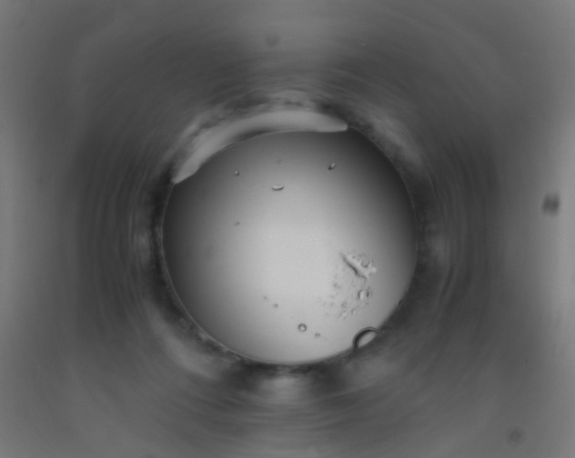 X0000092310312200709281351