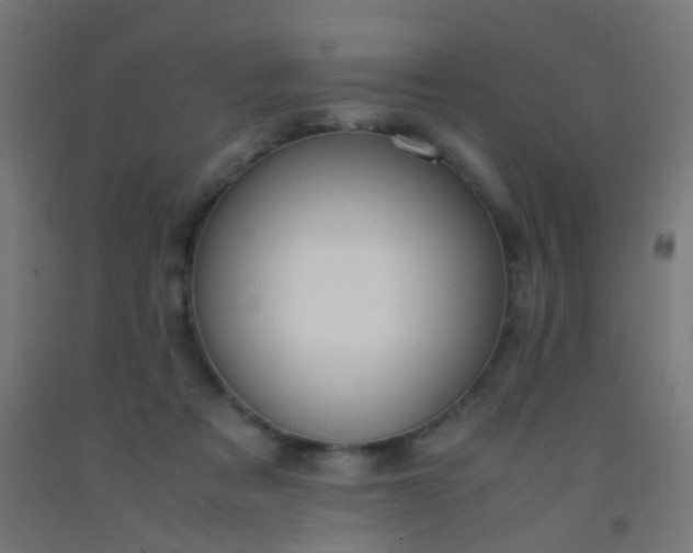 X0000092310313200709281351