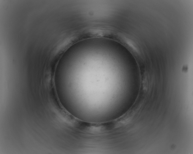 X0000092310314200709281351