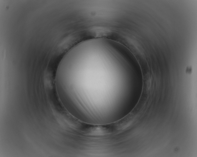X0000092310316200709281351