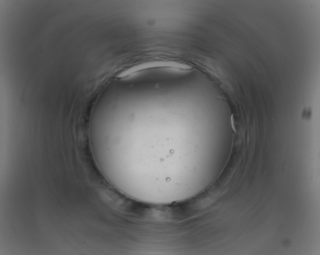 X0000092310317200709281351