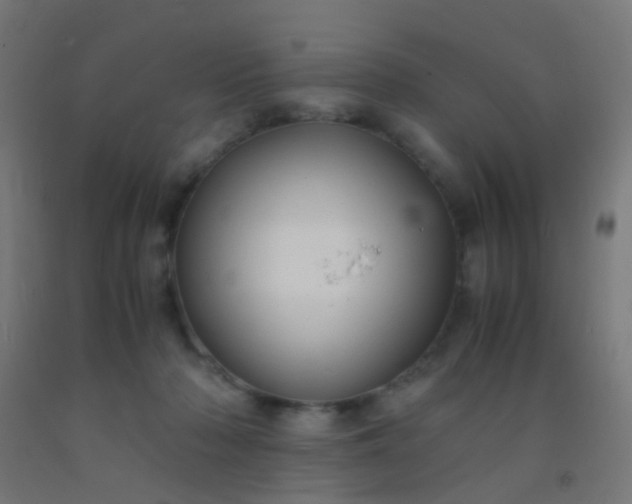 X0000092310318200709281351