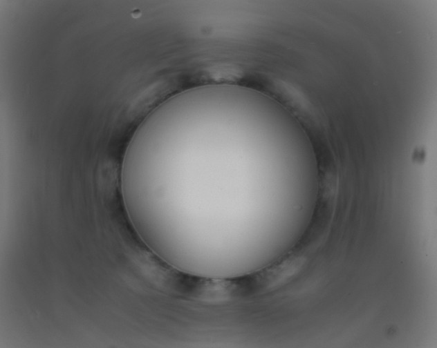 X0000092310321200709281351