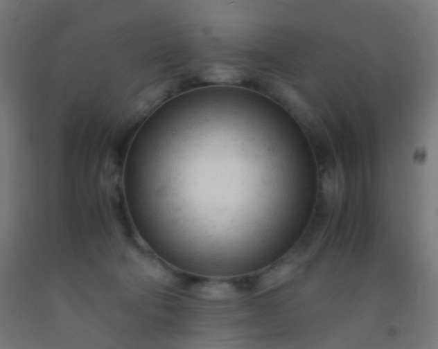 X0000092310322200709281351