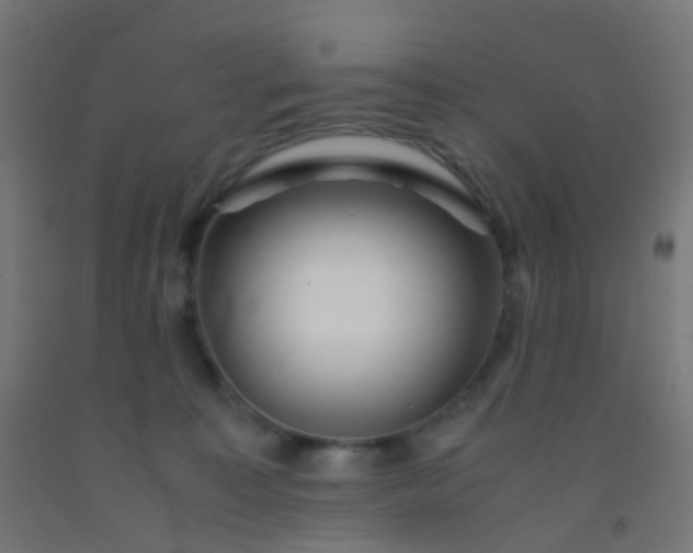 X0000092310323200709281351