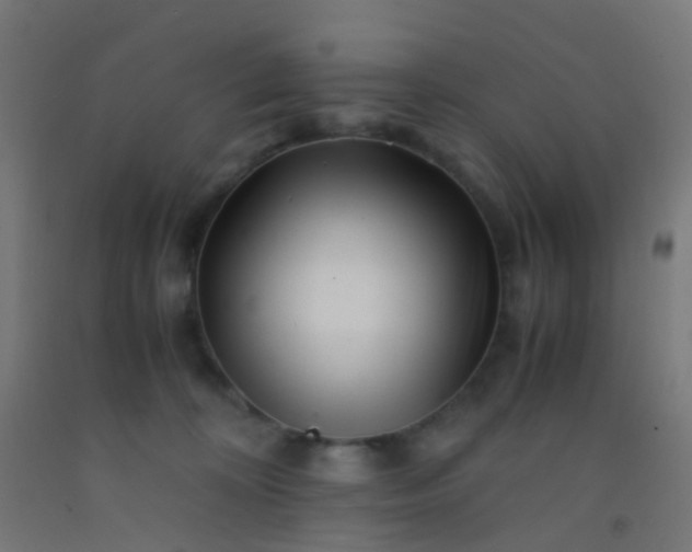 X0000092310324200709281351