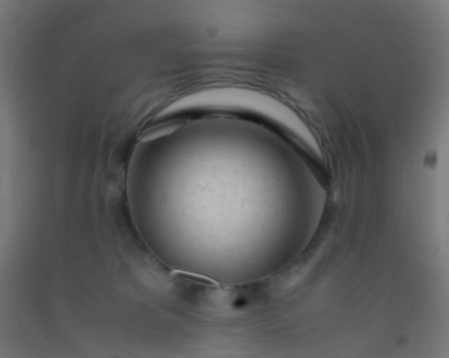 X0000092310325200709281351