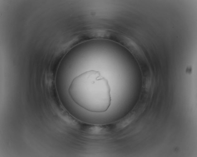 X0000092310326200709281351