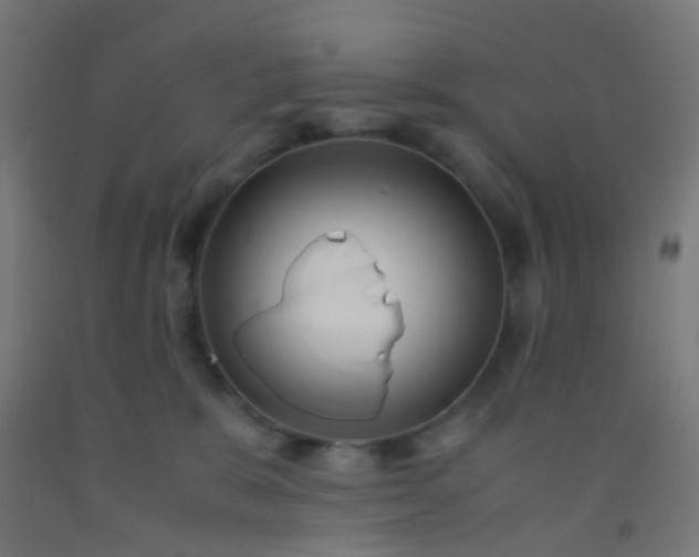 X0000092310327200709281351