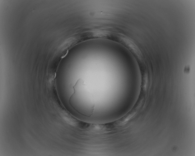 X0000092310329200709281351