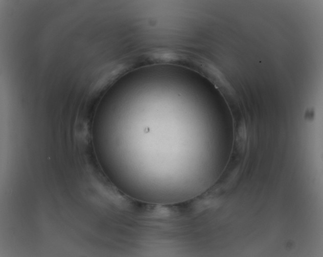 X0000092310330200709281351