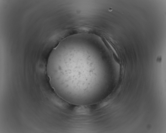 X0000092310331200709281351