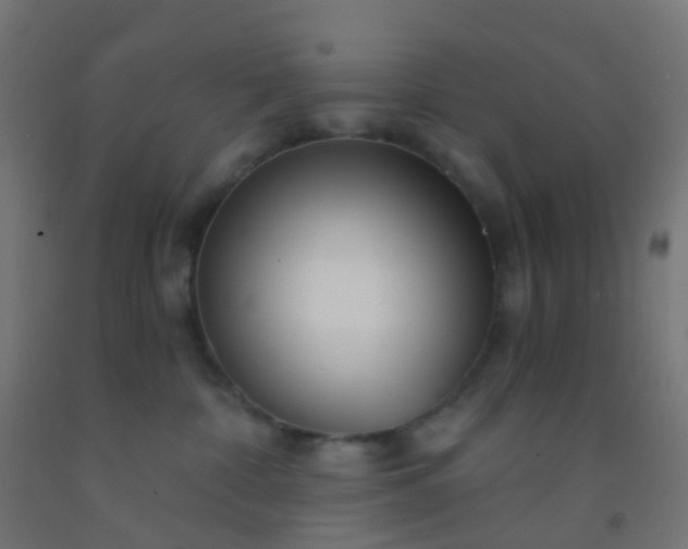 X0000092310332200709281351