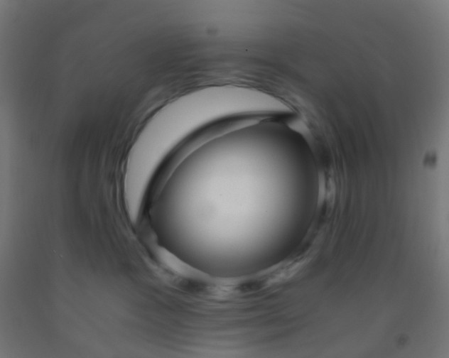 X0000092310333200709281351