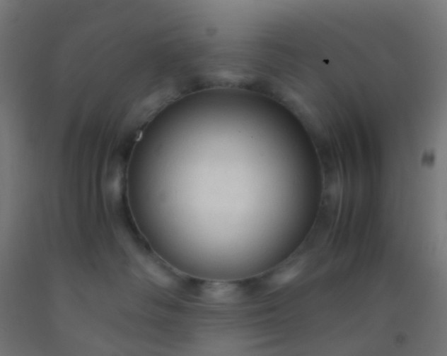X0000092310334200709281351