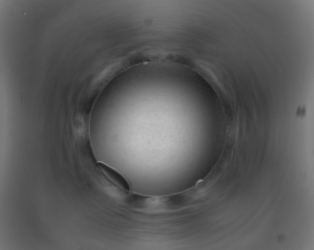 X0000092310335200709281351