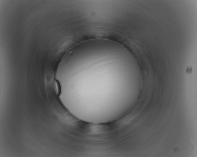 X0000092310336200709281351