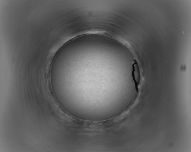 X0000092310337200709281350