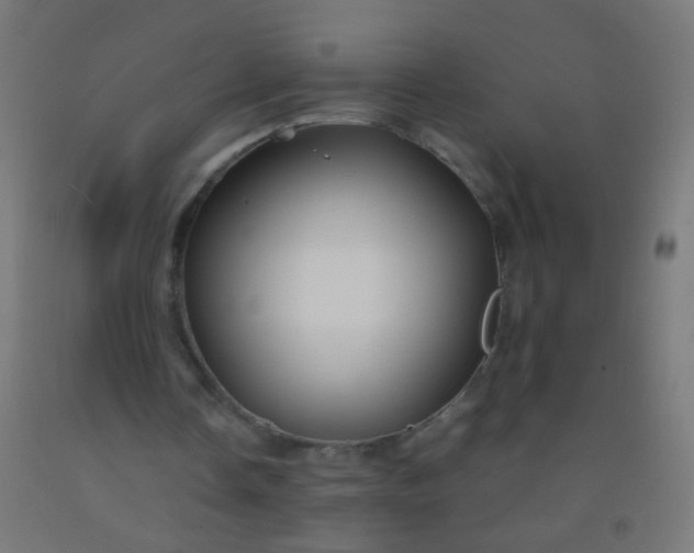 X0000092310338200709281350