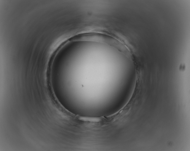 X0000092310340200709281350