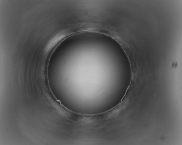 X0000092310341200709281350
