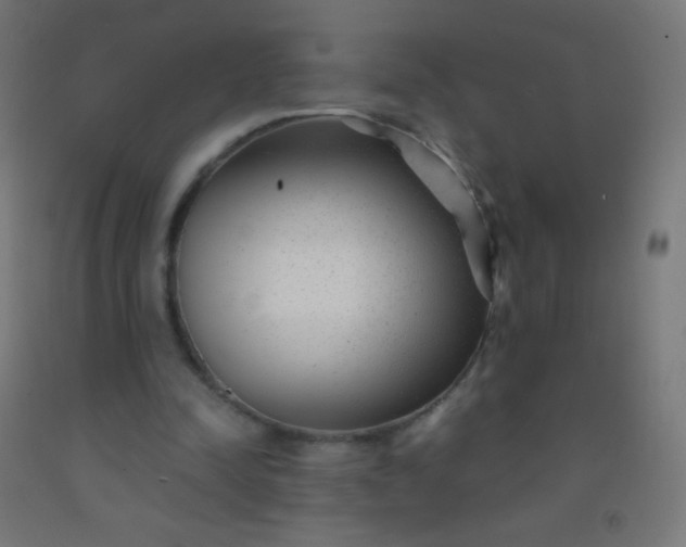 X0000092310342200709281350