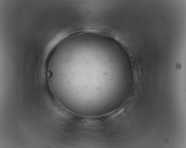 X0000092310343200709281350