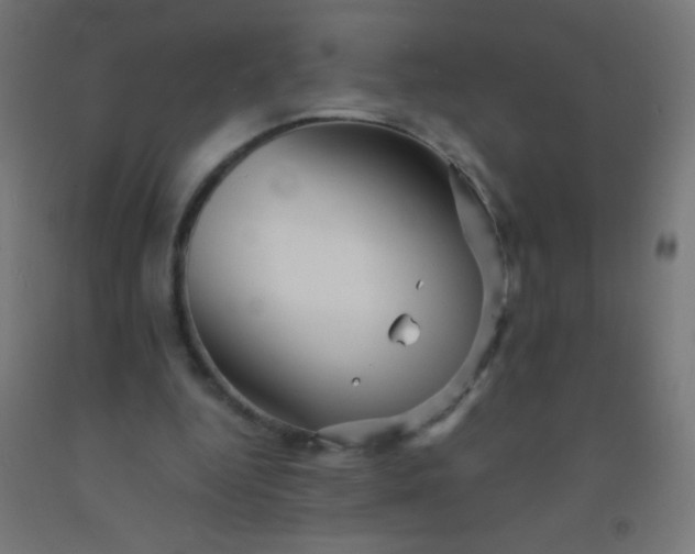 X0000092310344200709281351