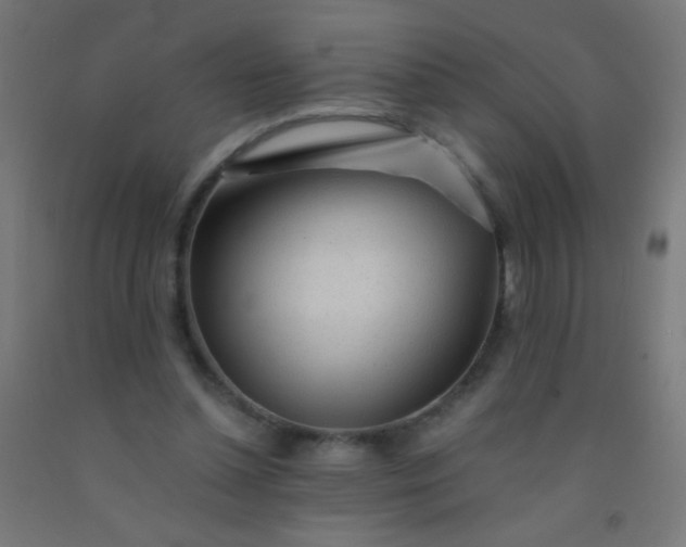X0000092310348200709281351