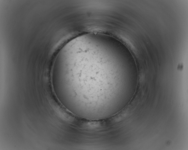 X0000092310353200709281351