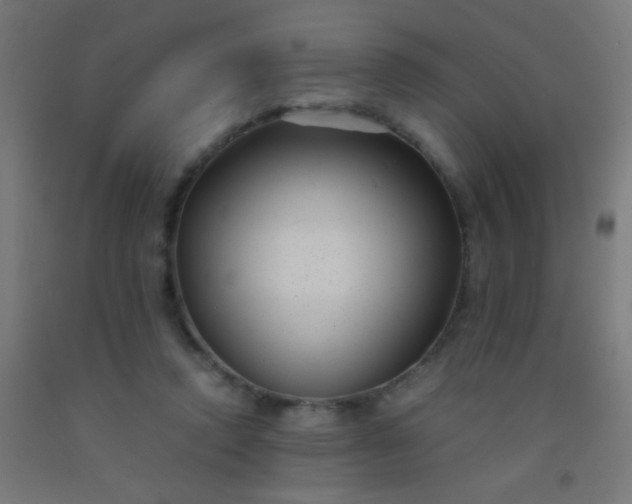 X0000092310354200709281351