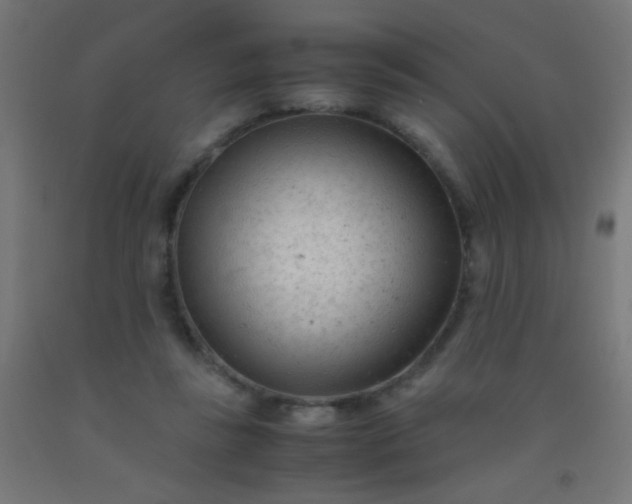 X0000092310355200709281351