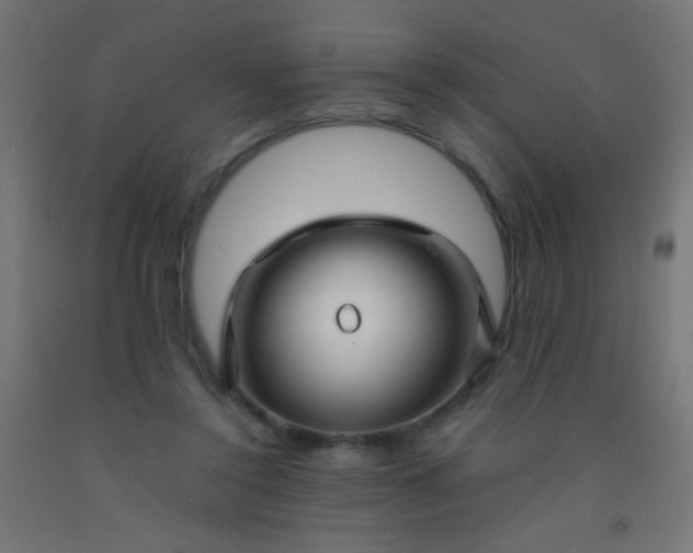 X0000092310356200709281351