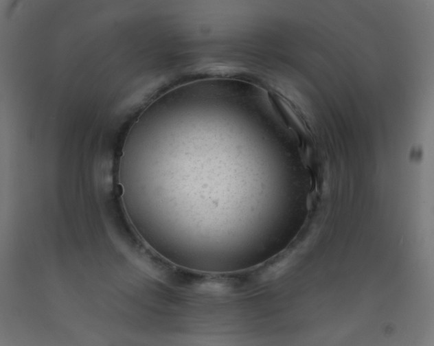 X0000092310358200709281351
