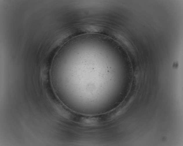 X0000092310359200709281351