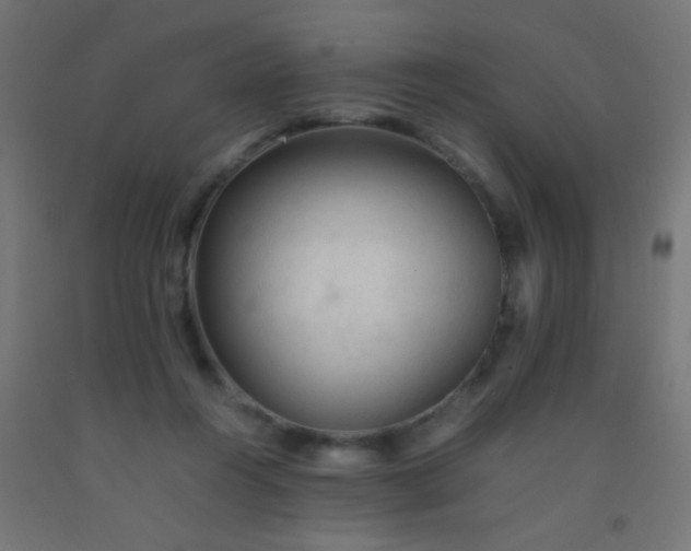 X0000092310360200709281351