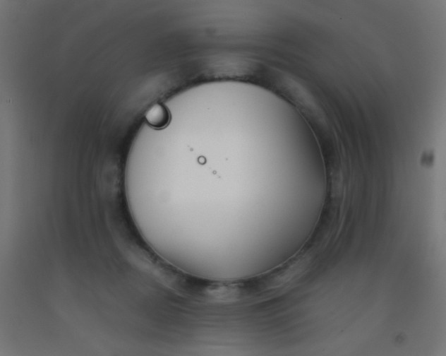 X0000092310362200709281351