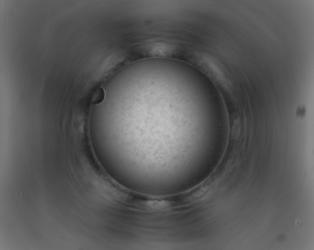X0000092310363200709281351