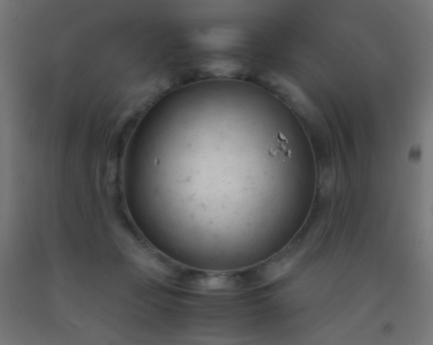 X0000092310365200709281351