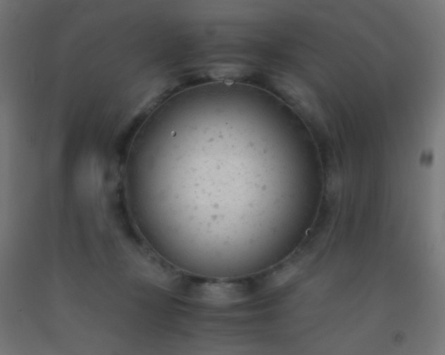 X0000092310367200709281351