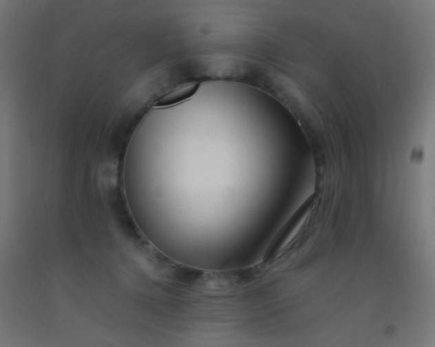 X0000092310368200709281351