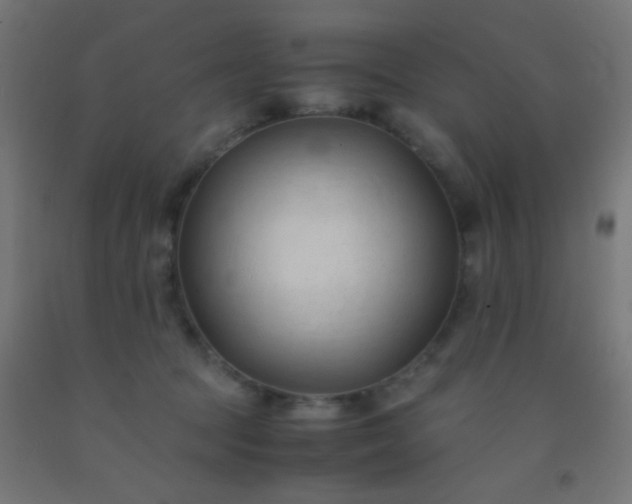 X0000092310369200709281351