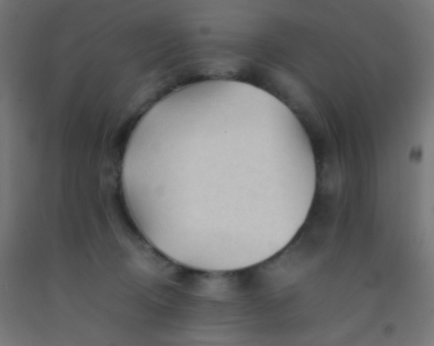 X0000092310370200709281351