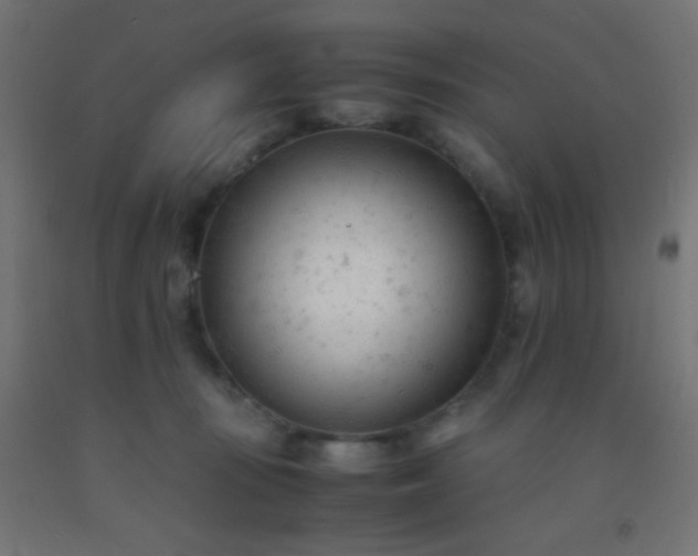 X0000092310371200709281351