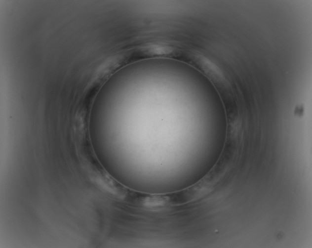 X0000092310373200709281351